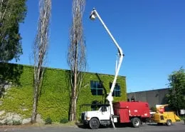 Expert lawn mowing service for residential properties across Oregon City, OR - North West Landscape Care and Tree Service