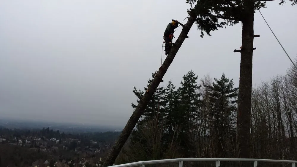 Reliable lawn care service in Oregon City, OR - North West Landscape Care and Tree Service