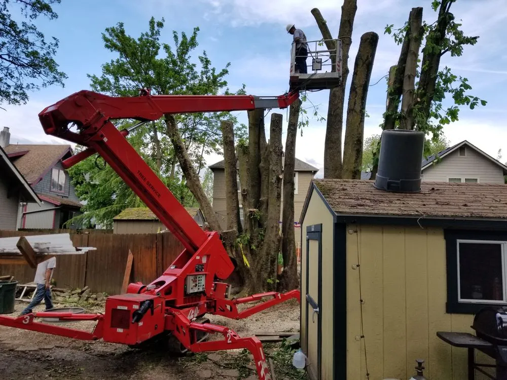 Professional outdoor landscaping in Oregon City, OR by North West Landscape Care and Tree Service