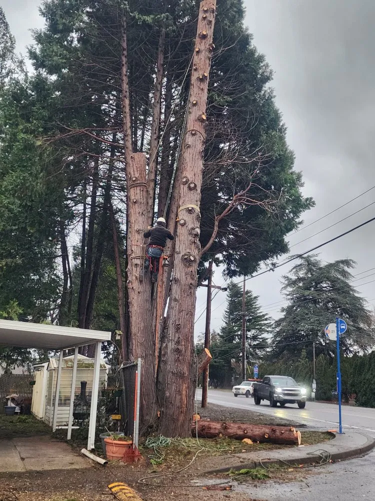 Reliable outdoor landscaping near you in Oregon City, OR by North West Landscape Care and Tree Service