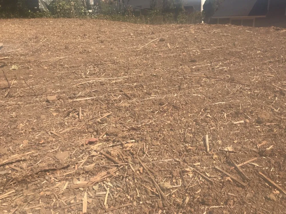 Affordable yard cleanup service for residential properties across Oregon City, OR - North West Landscape Care and Tree Service