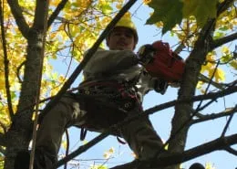 Local landscaping services for residential properties across Oregon City, OR - North West Landscape Care and Tree Service
