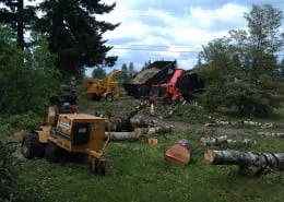 Top-rated lawn mowing service experts serving Oregon City, OR - North West Landscape Care and Tree Service