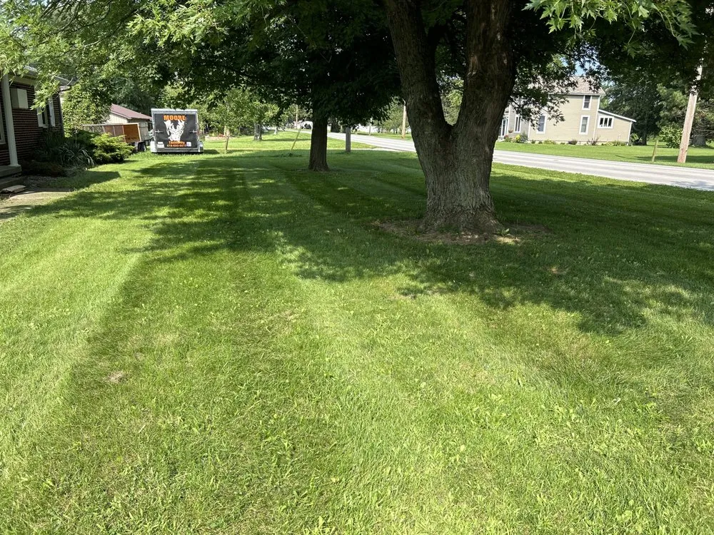 Custom yard cleanup service for year-round maintenance across Tiffin, OH - North West Ohio Lawn And Landscape