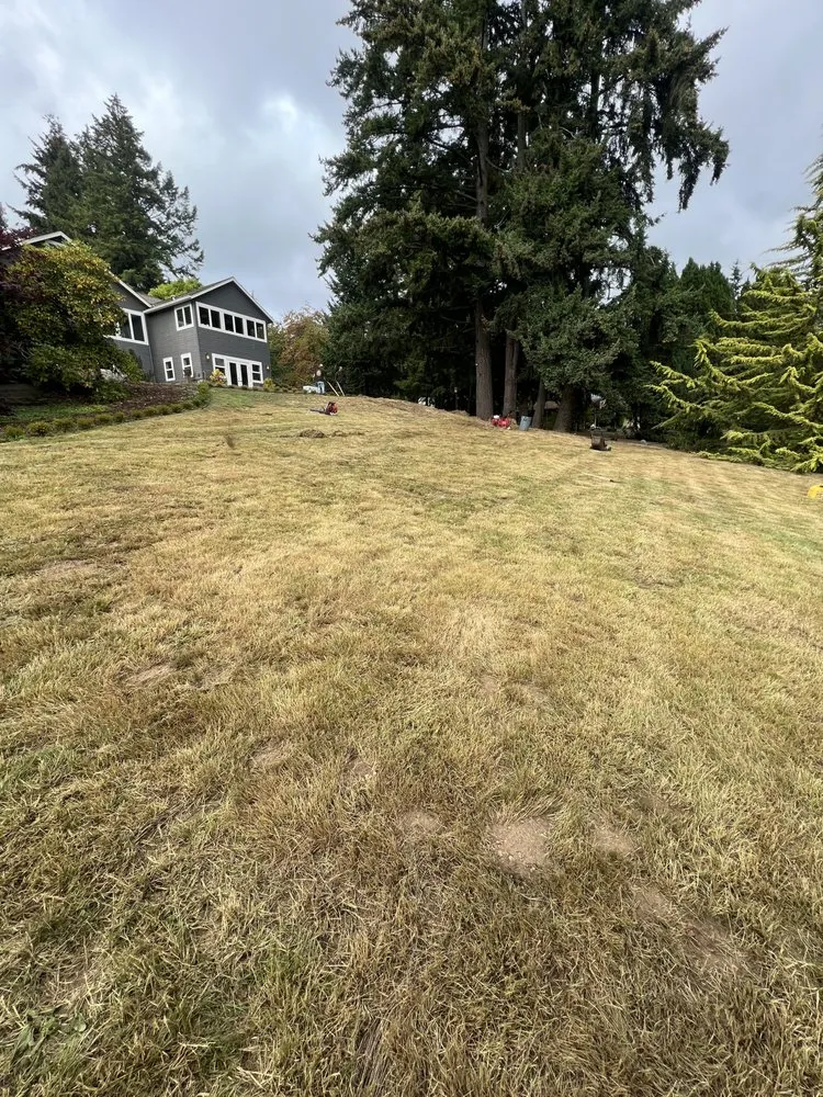 Expert lawn care service in Belfair, WA by North West Pros Landscaping