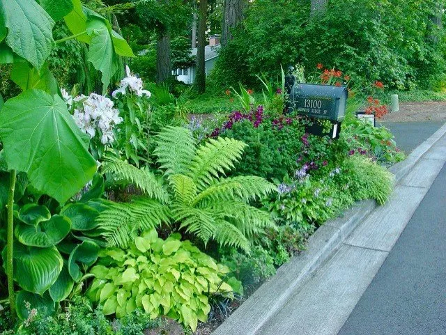 Custom lawn care service experts serving Beaverton, OR - North Willamette Garden Designs