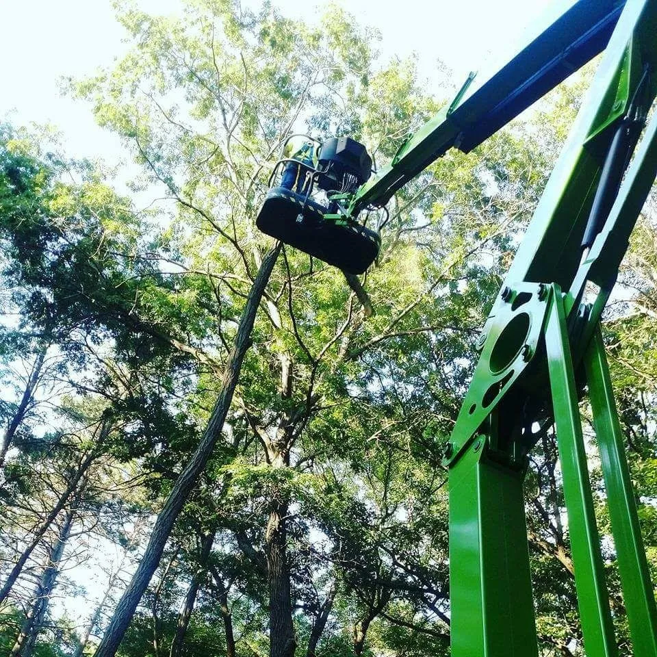 Top-rated landscape installation experts serving St. Croix, MN - North Woods Industries