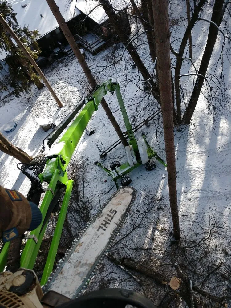 Reliable landscape design experts serving St. Croix, MN - North Woods Industries