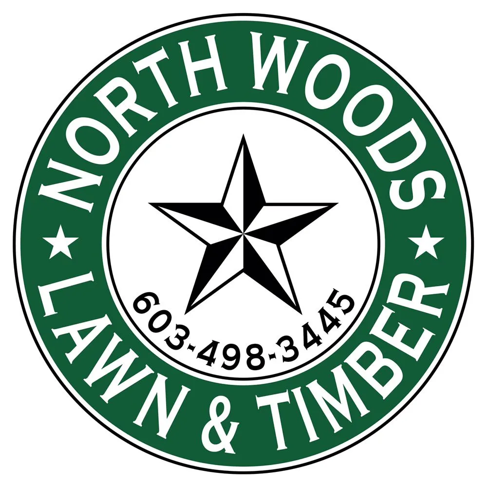 Custom yard cleanup service experts serving Eaton Center, NH - North Woods Lawn & Timber