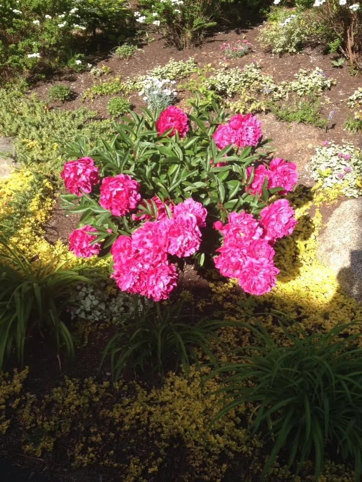 Expert residential landscaping near you across Eaton Center, NH - North Woods Lawn & Timber