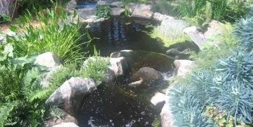 Trusted landscaping services in Poulsbo, WA - North Woods Pacific Landscaping