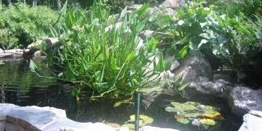 Professional lawn mowing service near you across Poulsbo, WA - North Woods Pacific Landscaping