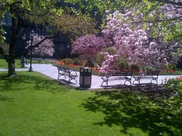 Professional lawn mowing service experts serving Haskell, NJ - Northbrook Landscape and Pool
