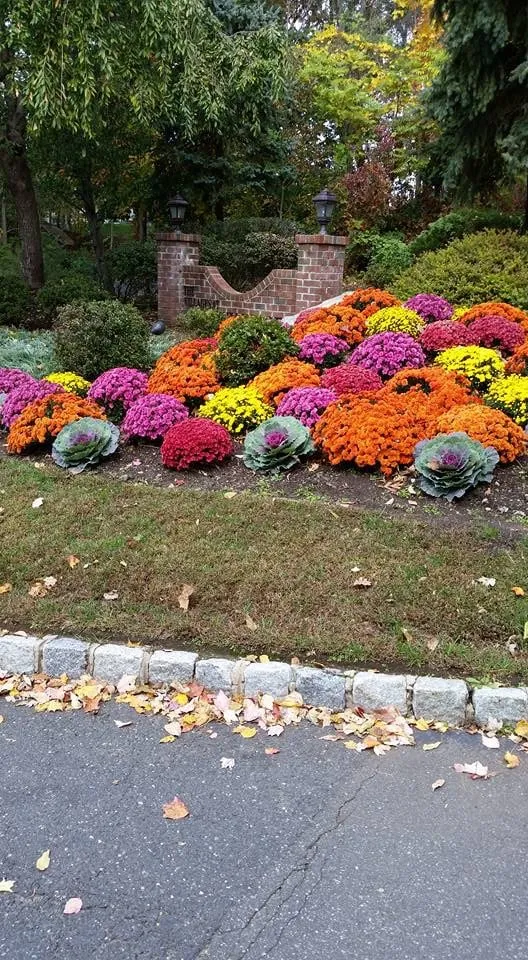 Affordable yard cleanup service in Haskell, NJ - Northbrook Landscape and Pool