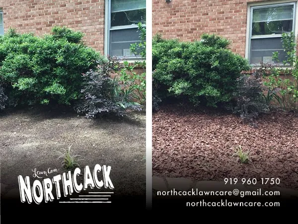 Expert outdoor landscaping for beautiful yards across Chapel Hill, NC - Northcack Home Services
