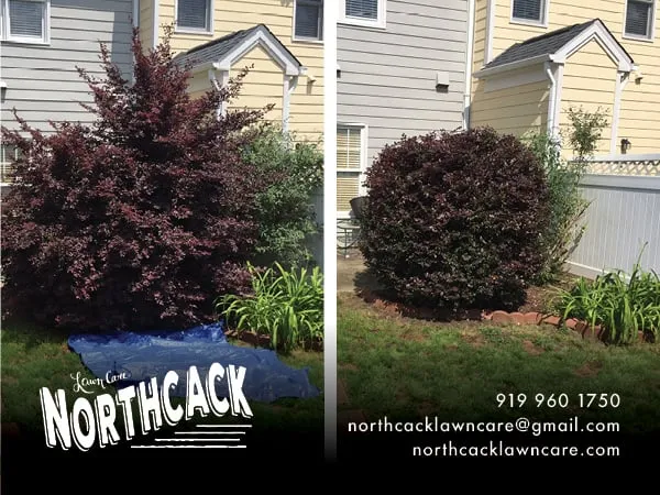 Expert yard cleanup service in Chapel Hill, NC by Northcack Home Services