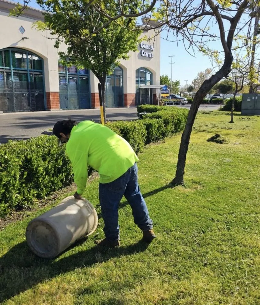 Local yard cleanup service in Sonora, CA by Northcali Landscaping & Tree Services