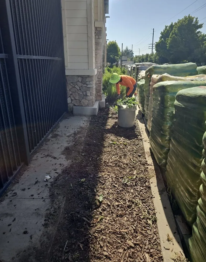 Professional garden landscaping near you across Sonora, CA - Northcali Landscaping & Tree Services