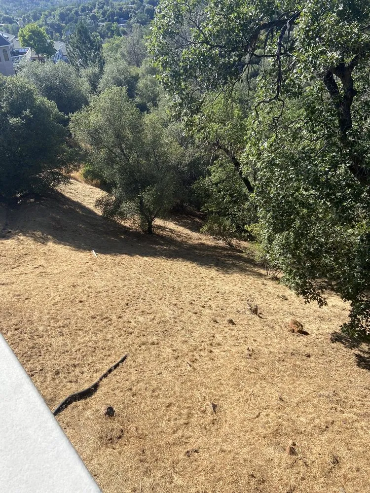 Custom garden landscaping with custom design across Sonora, CA - Northcali Landscaping & Tree Services