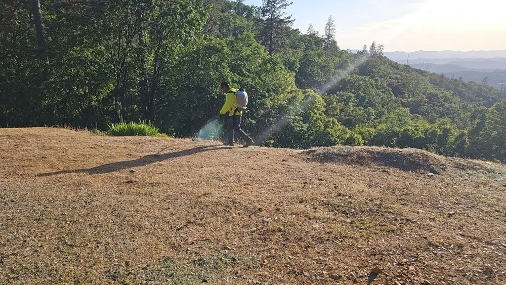 Affordable landscape installation near you across Sonora, CA - Northcali Landscaping & Tree Services