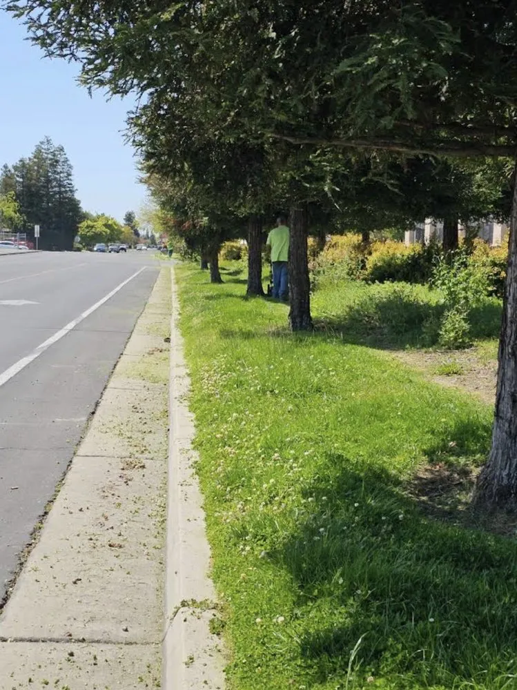 Custom lawn care service experts serving Sonora, CA - Northcali Landscaping & Tree Services