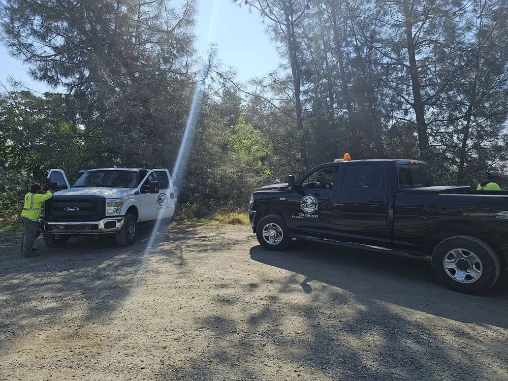 Affordable garden landscaping in Sonora, CA by Northcali Landscaping & Tree Services