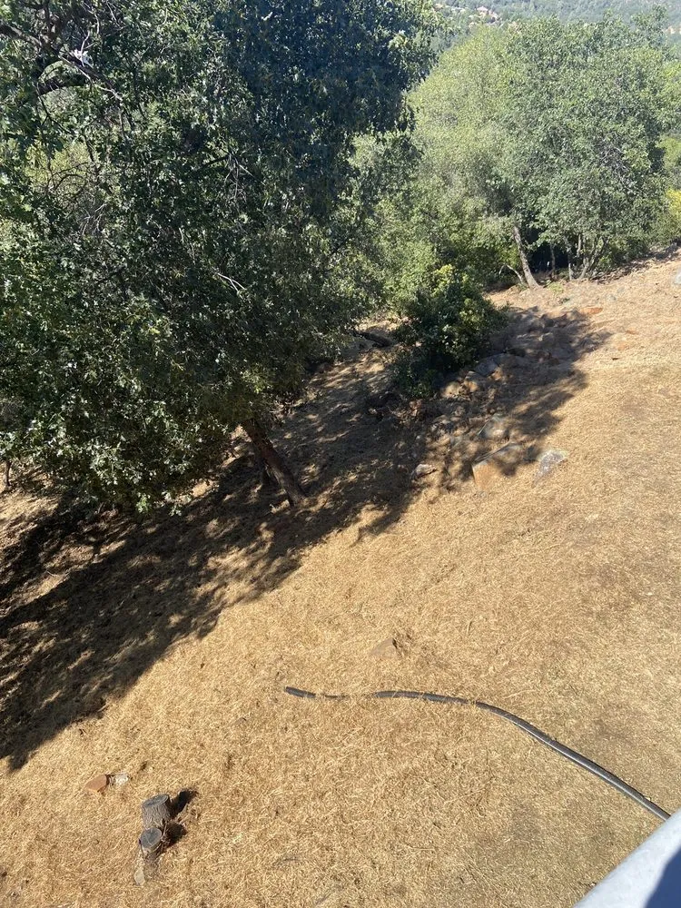 Local lawn mowing service for outdoor upgrades across Sonora, CA - Northcali Landscaping & Tree Services