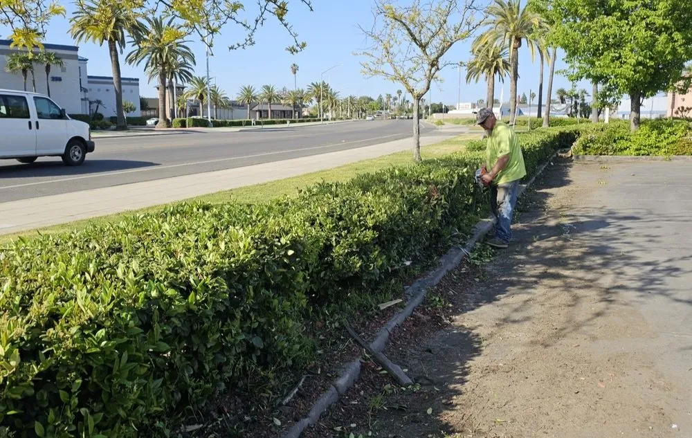 Trusted residential landscaping near you in Sonora, CA by Northcali Landscaping & Tree Services