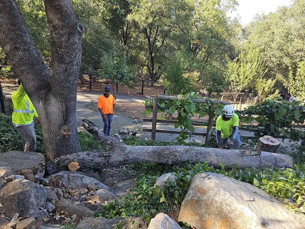 Reliable landscape design for homes across Sonora, CA - Northcali Landscaping & Tree Services