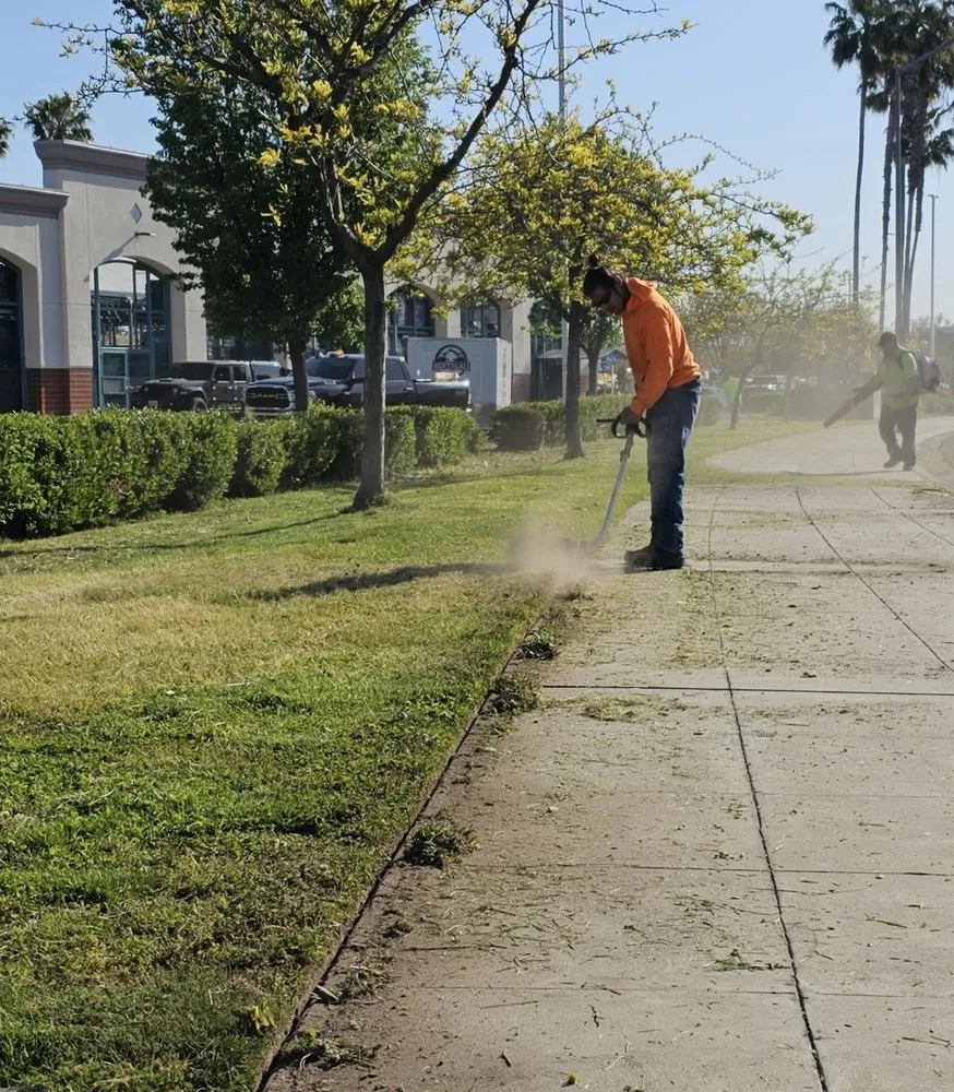 Expert outdoor landscaping in Sonora, CA by Northcali Landscaping & Tree Services