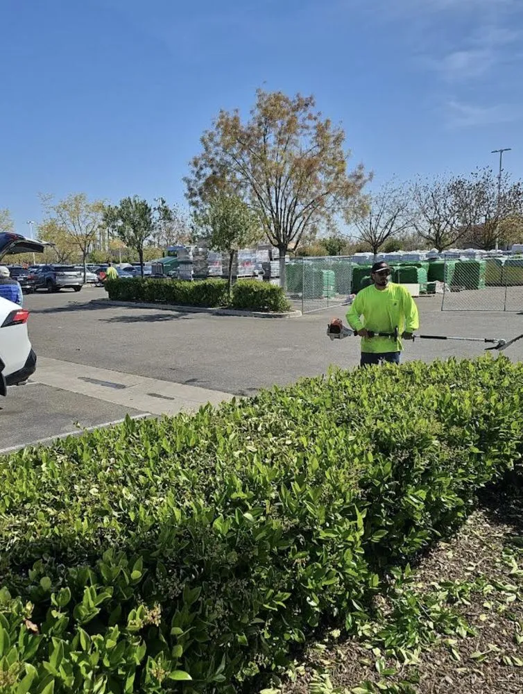 Reliable garden landscaping experts serving Sonora, CA - Northcali Landscaping & Tree Services