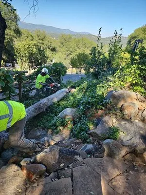 Northcali Landscaping & Tree Services Logo