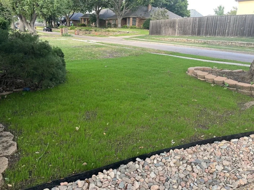 Local yard cleanup service experts serving Dallas, TX - NorthCentral Outdoor Services