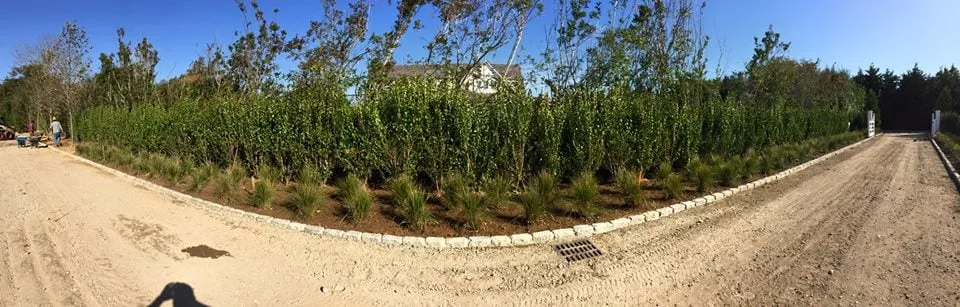Reliable landscape design in East Quogue, NY - Northeast Builder & Landscaping