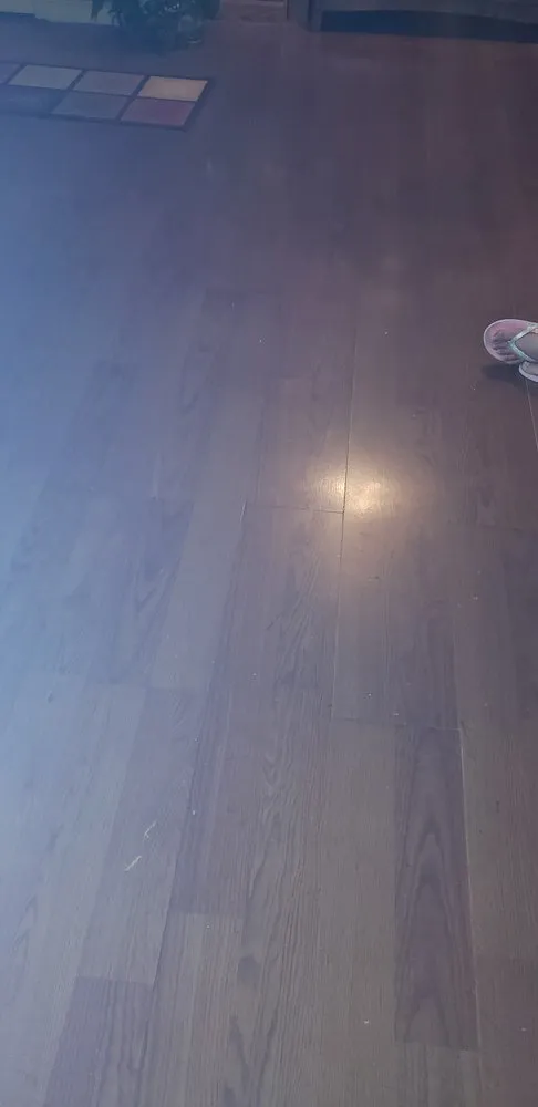 Custom yard maintenance for homes in El Paso, TX by Northeast Flooring & Home Repairs