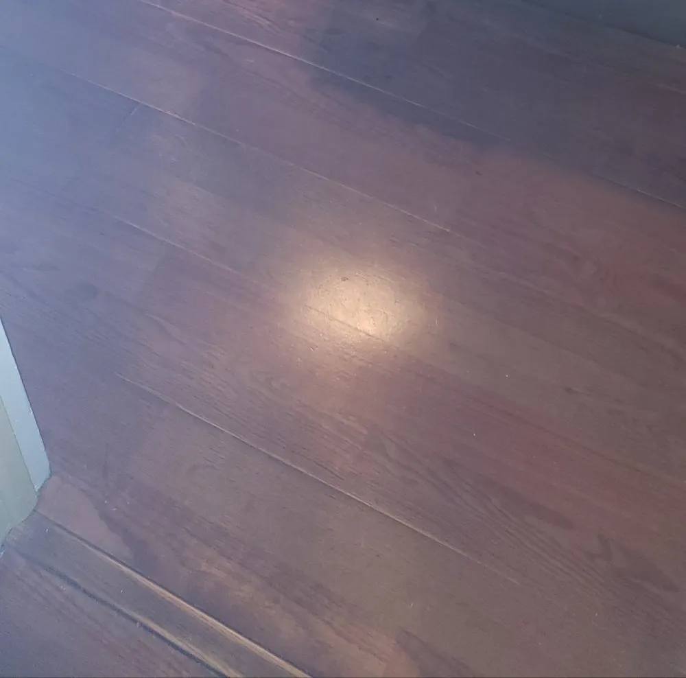 Expert lawn care service experts serving El Paso, TX - Northeast Flooring & Home Repairs