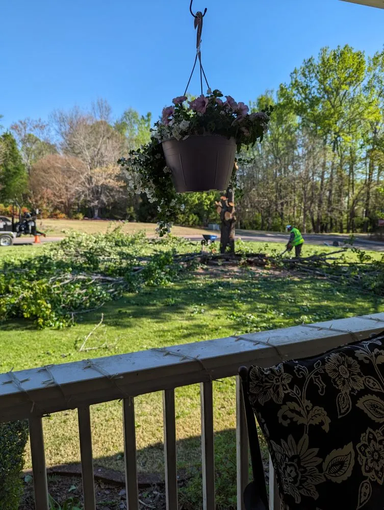 Affordable landscape design in Bishop, GA - Northeast Georgia Tree Service