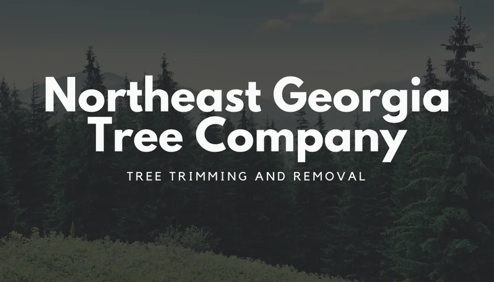 Affordable outdoor landscaping for outdoor upgrades across Bishop, GA - Northeast Georgia Tree Service