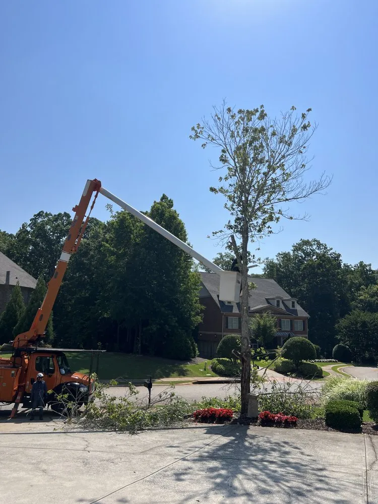 Affordable landscape installation in Bishop, GA - Northeast Georgia Tree Service