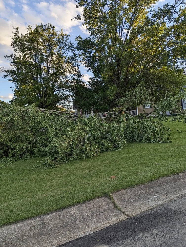 Custom residential landscaping near you in Bishop, GA by Northeast Georgia Tree Service