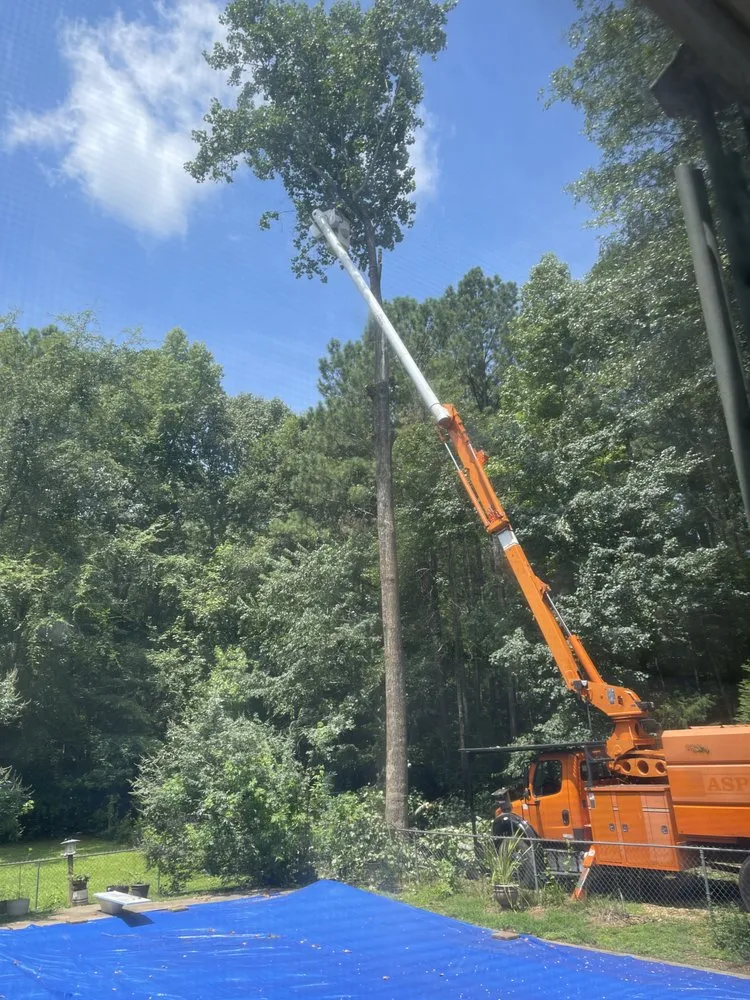 Professional residential landscaping for beautiful yards across Bishop, GA - Northeast Georgia Tree Service