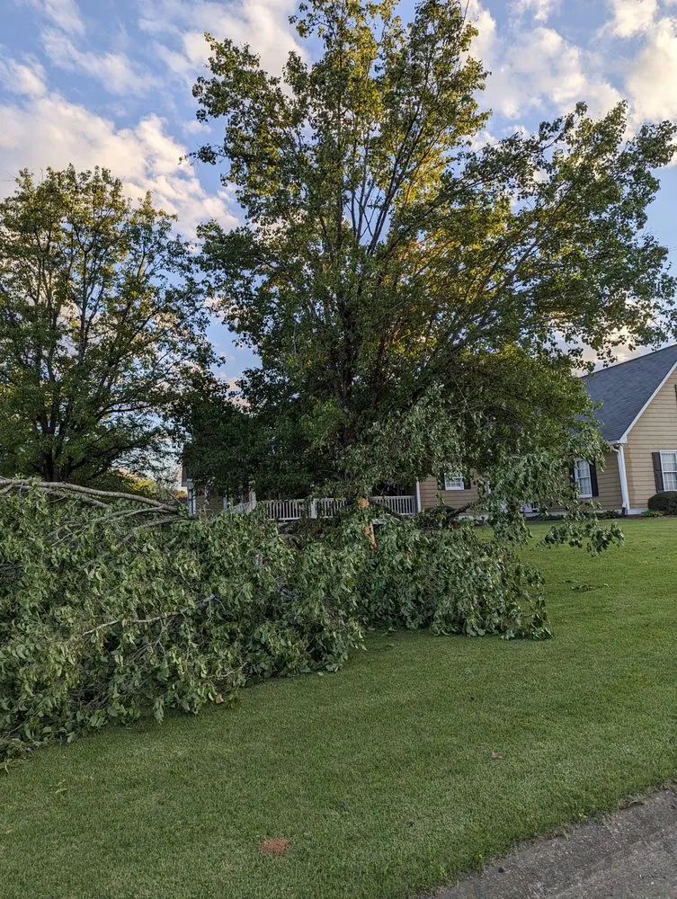 Local yard maintenance for residential properties across Bishop, GA - Northeast Georgia Tree Service