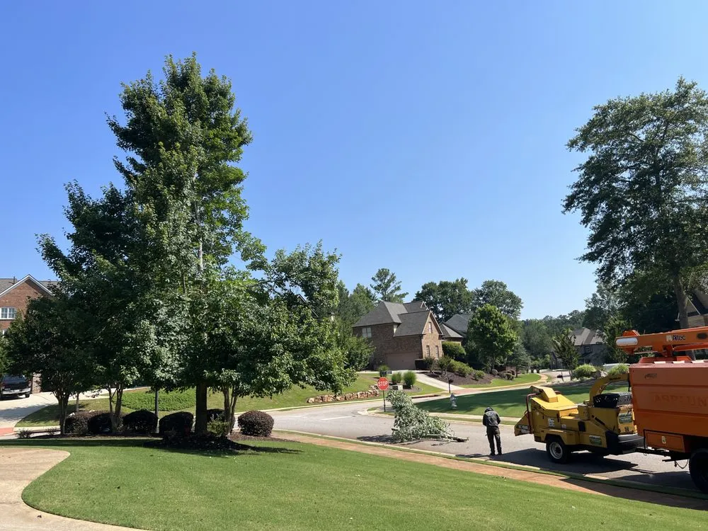 Expert residential landscaping experts serving Bishop, GA - Northeast Georgia Tree Service