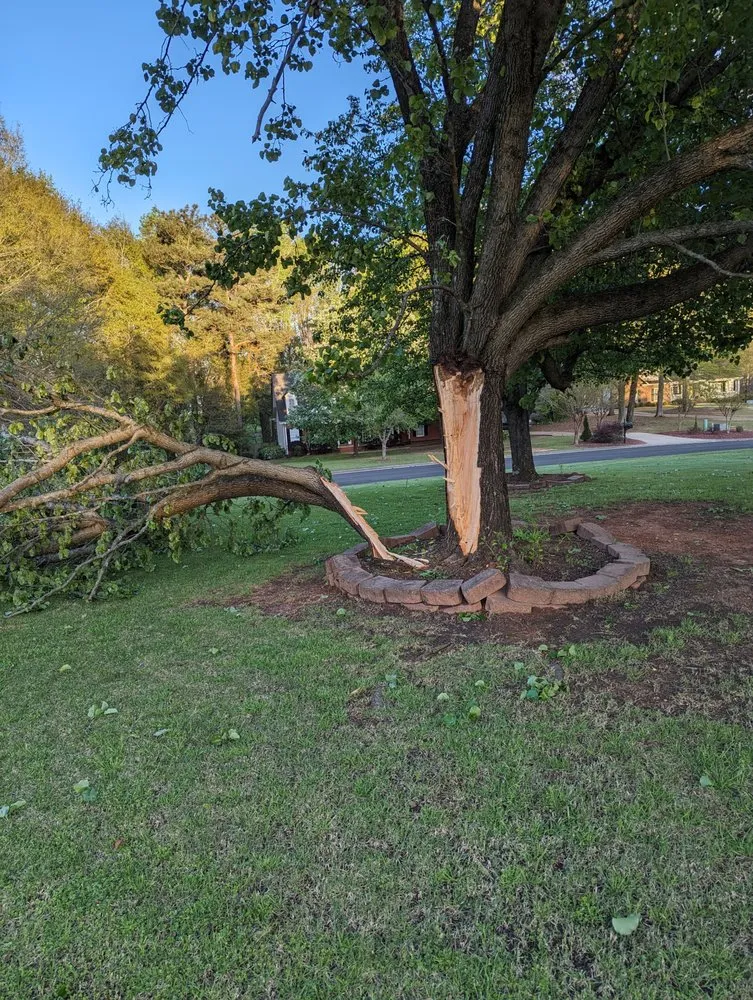 Custom landscape design for residential properties in Bishop, GA by Northeast Georgia Tree Service