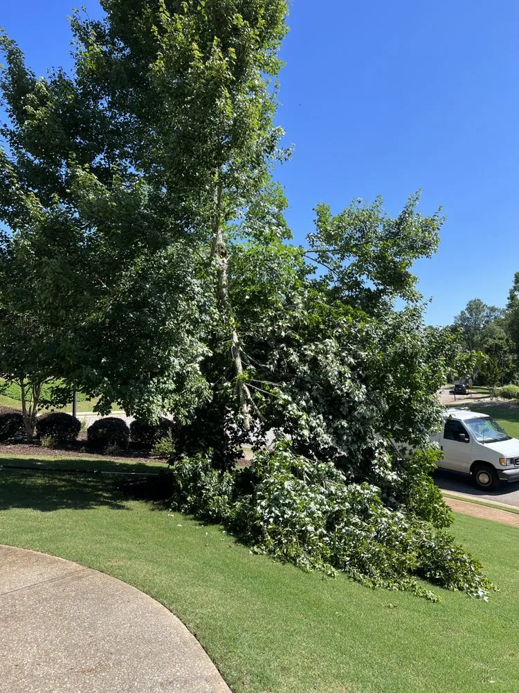 Affordable residential landscaping in Bishop, GA - Northeast Georgia Tree Service
