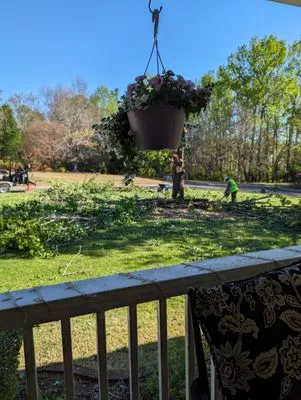 Northeast Georgia Tree Service Logo