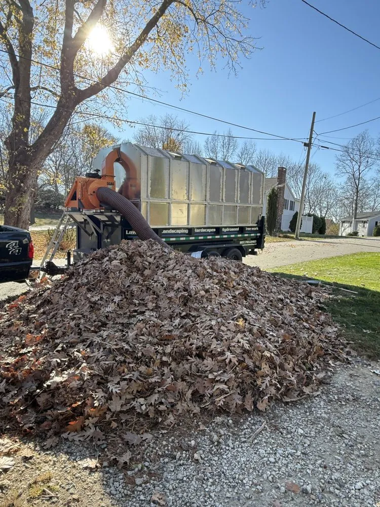 Expert yard cleanup service experts serving Eliot, ME - Northeast Home Detailing