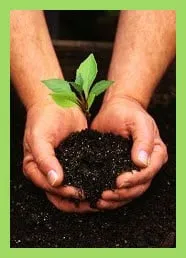 Top-rated yard maintenance experts serving Holmes, NY - Northeast Horticultural Services