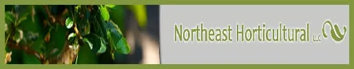 Professional landscaping services in Holmes, NY - Northeast Horticultural Services