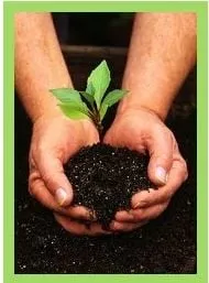 Expert yard maintenance near you across Holmes, NY - Northeast Horticultural Services